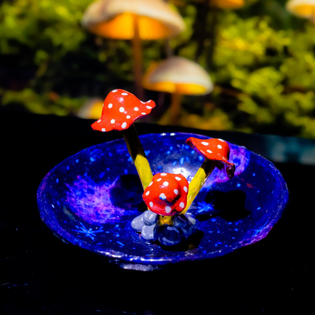 Galactic Shroom Ashtray🍄🌌