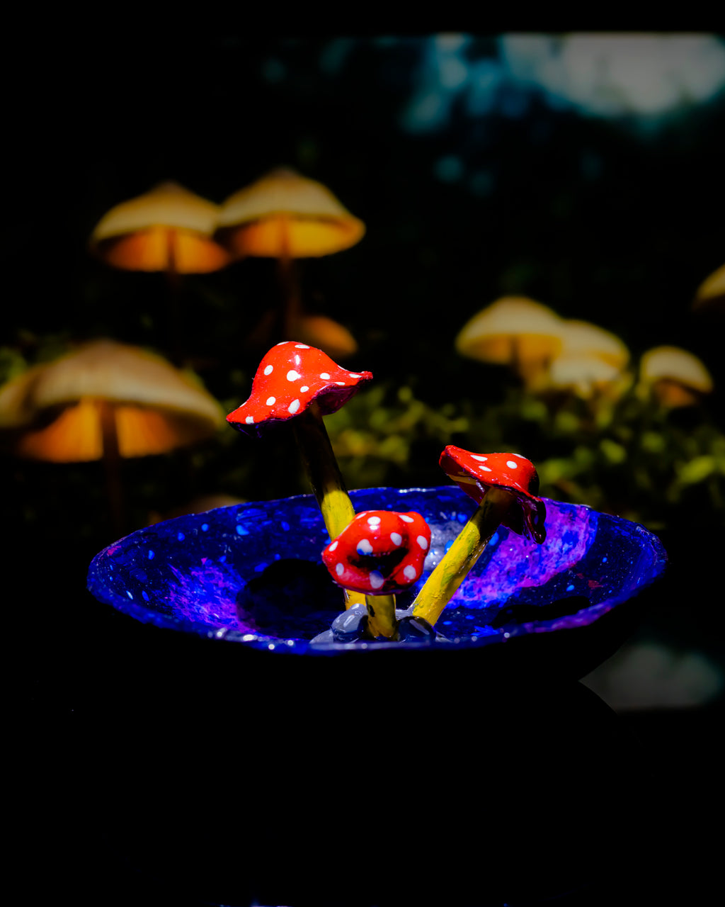 Galactic Shroom Ashtray🍄🌌