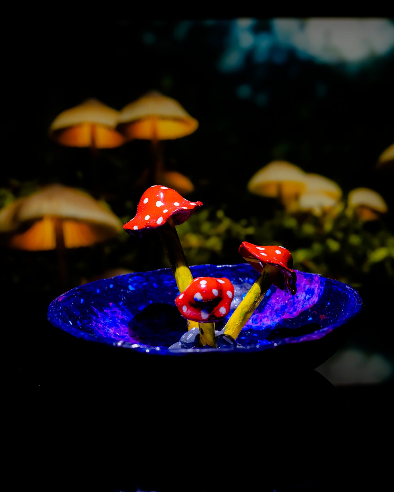 Galactic Shroom Ashtray🍄🌌